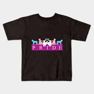 Trans Lion Pride 3 Kids T-Shirt